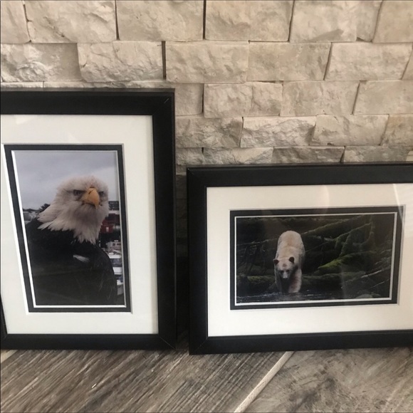 2 pack Professional Artist Photography - Picture 1 of 1